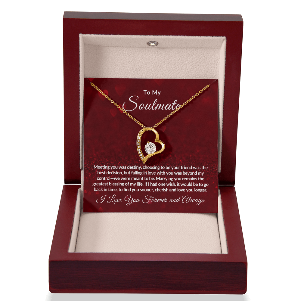 To My Soulmate | Valentine's Day Gift | Forever Love Necklace