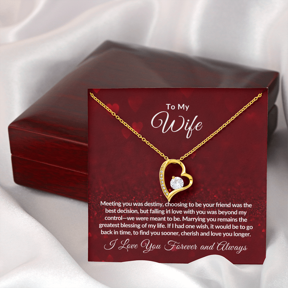 To My Wife | Valentine's Day Gift | Forever Love Necklace